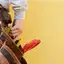 Handyman repair service in Syracuse, NY for home fixes and improvements