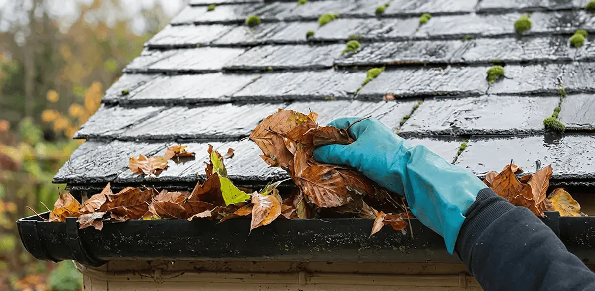 Gutter cleaning technician clearing wet leaves from roof gutters in Syracuse, NY