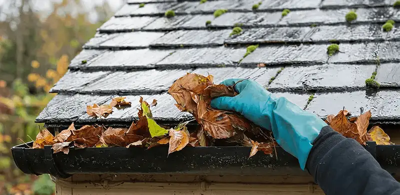 Gutter cleaning technician clearing wet leaves from roof gutters in Syracuse, NY